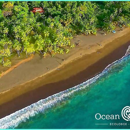 Ocean Forest Ecolodge San Pedrillo Exteriér fotografie