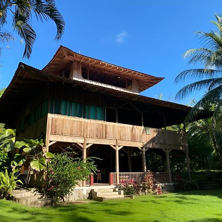 Ocean Forest Ecolodge San Pedrillo Exteriér fotografie