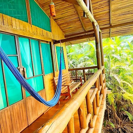 Ocean Forest Ecolodge San Pedrillo Exteriér fotografie