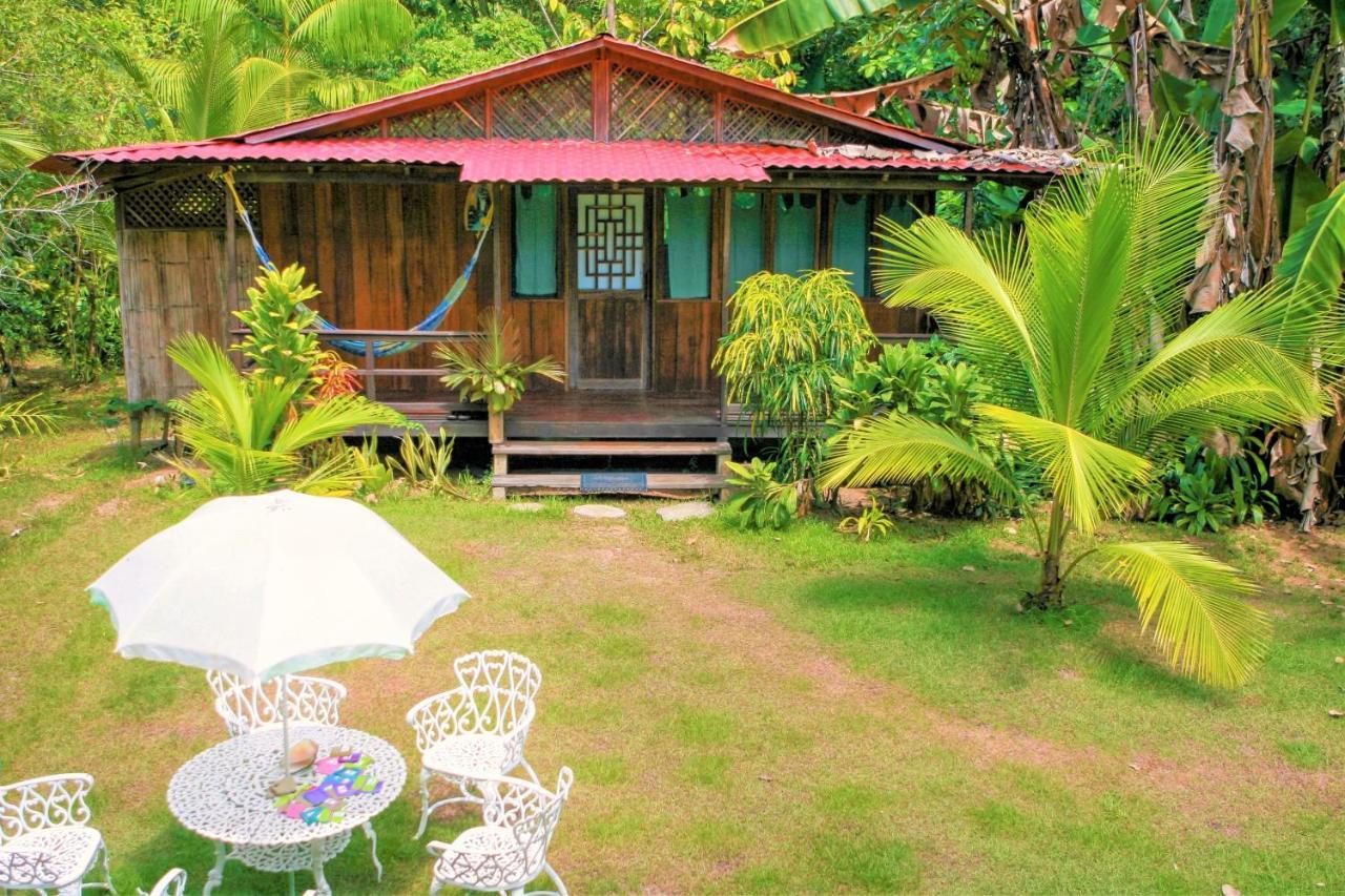 Ocean Forest Ecolodge San Pedrillo Exteriér fotografie
