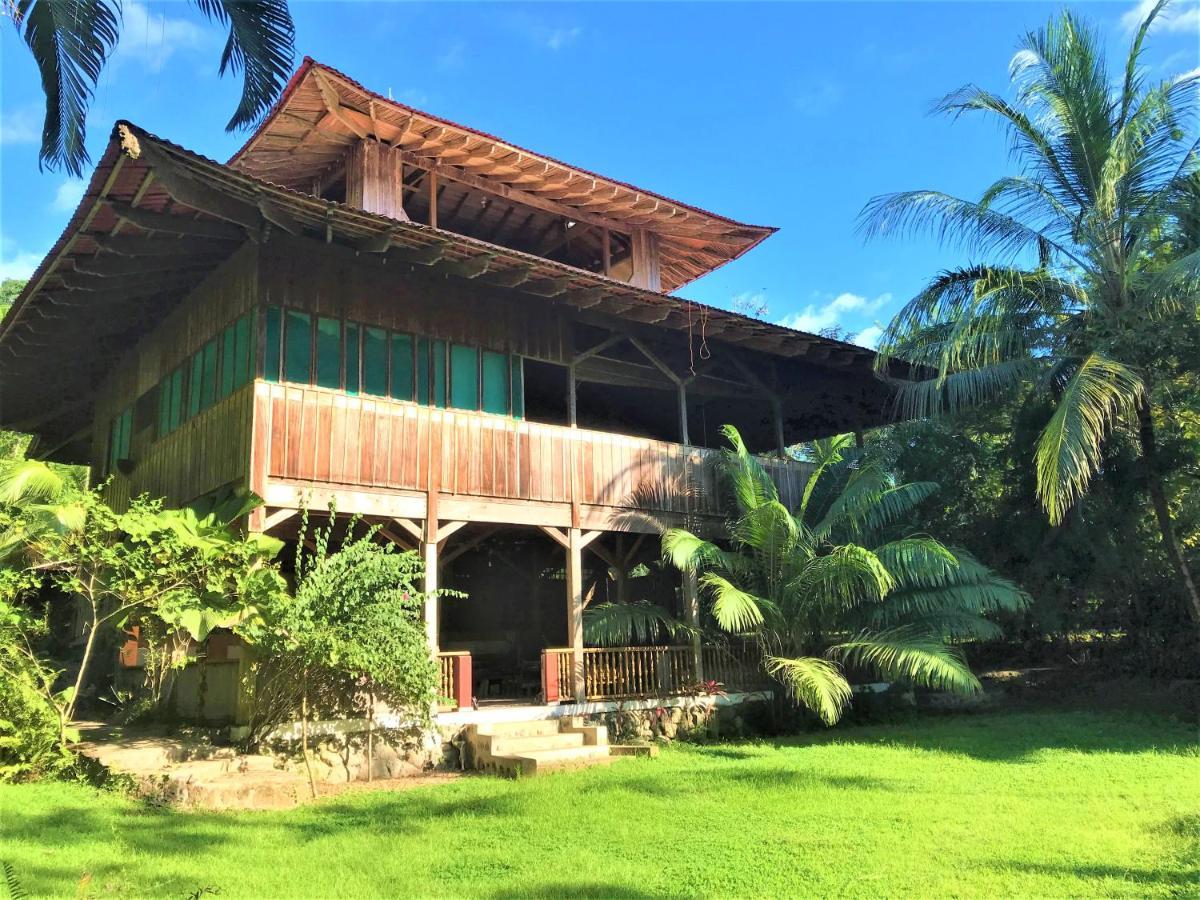 Ocean Forest Ecolodge San Pedrillo Exteriér fotografie
