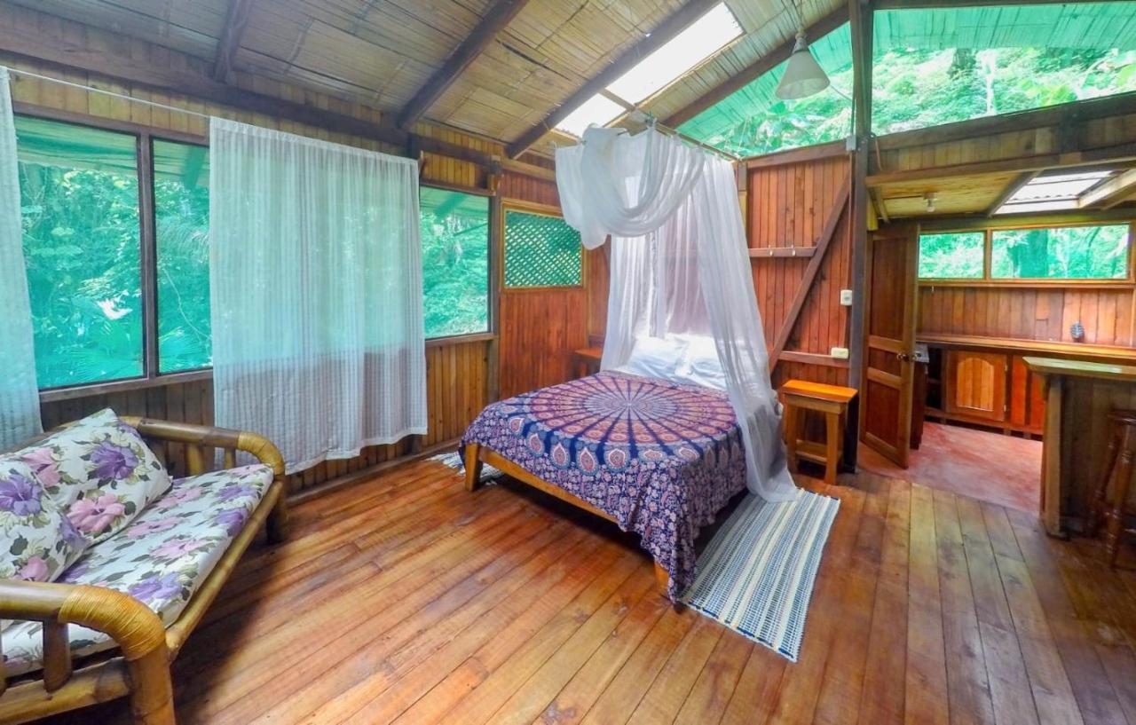 Ocean Forest Ecolodge San Pedrillo Exteriér fotografie