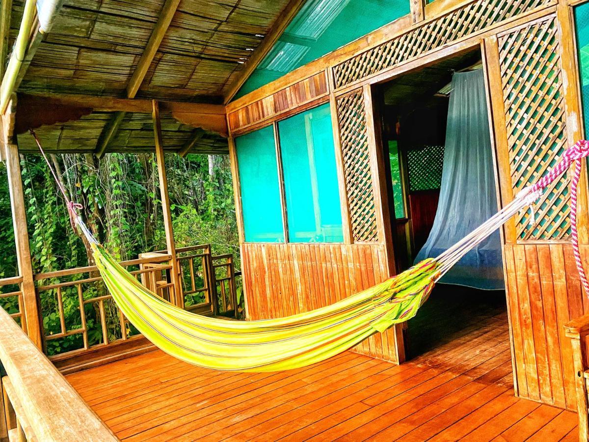 Ocean Forest Ecolodge San Pedrillo Exteriér fotografie