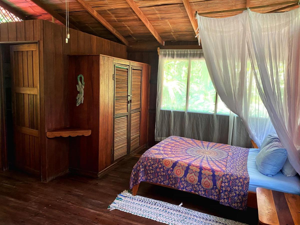 Ocean Forest Ecolodge San Pedrillo Exteriér fotografie