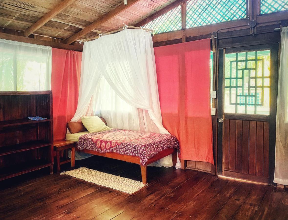 Ocean Forest Ecolodge San Pedrillo Exteriér fotografie