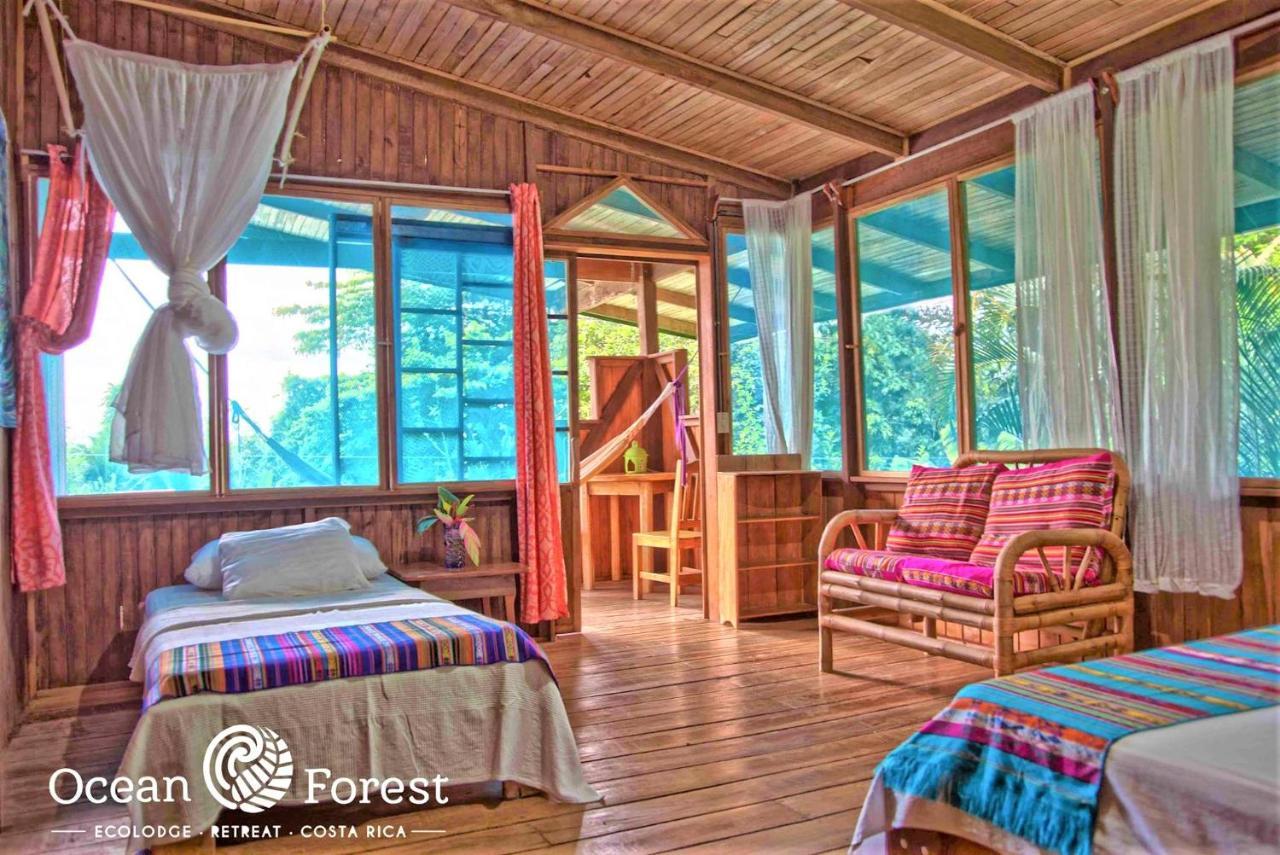 Ocean Forest Ecolodge San Pedrillo Exteriér fotografie