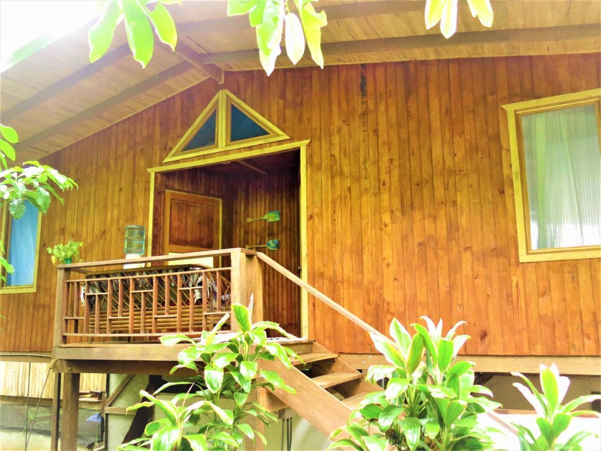Ocean Forest Ecolodge San Pedrillo Exteriér fotografie