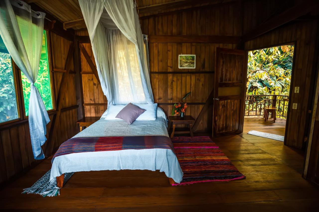 Ocean Forest Ecolodge San Pedrillo Exteriér fotografie