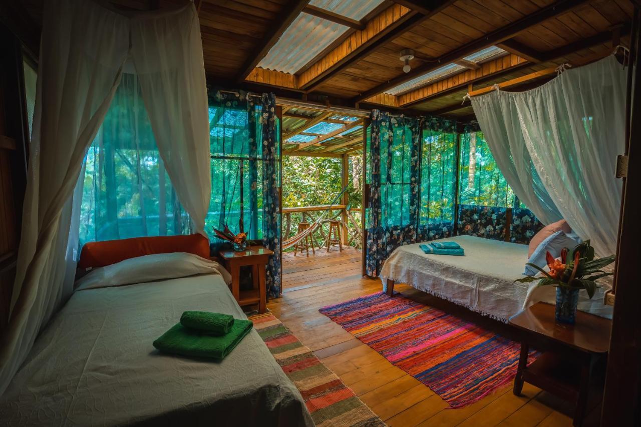 Ocean Forest Ecolodge San Pedrillo Exteriér fotografie