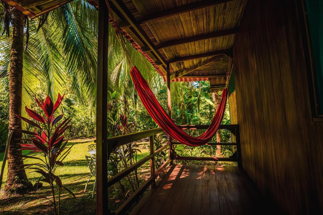 Ocean Forest Ecolodge San Pedrillo Exteriér fotografie