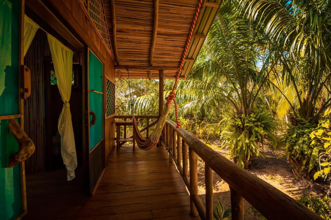 Ocean Forest Ecolodge San Pedrillo Exteriér fotografie