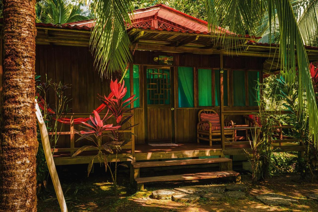 Ocean Forest Ecolodge San Pedrillo Exteriér fotografie