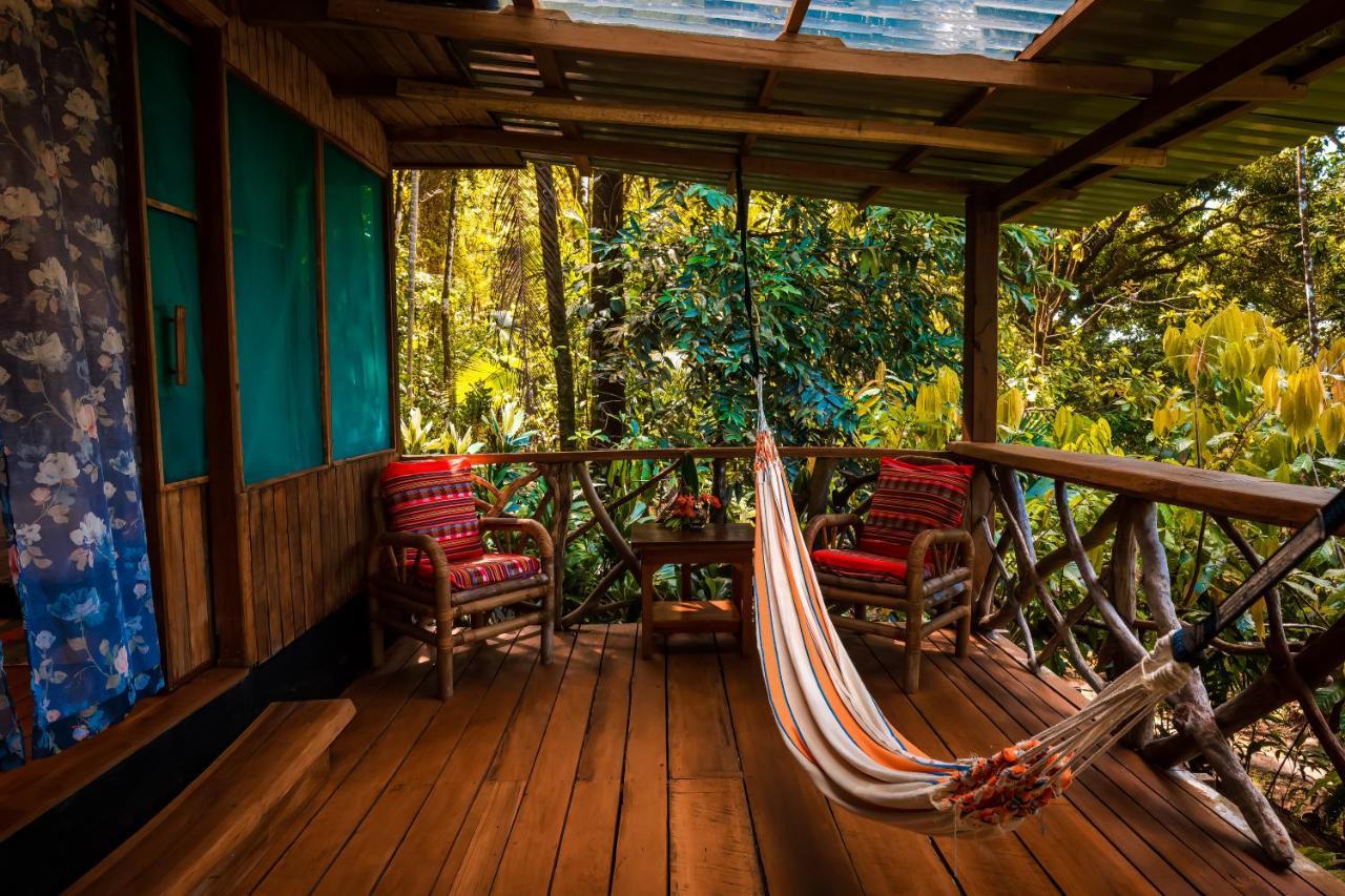 Ocean Forest Ecolodge San Pedrillo Exteriér fotografie