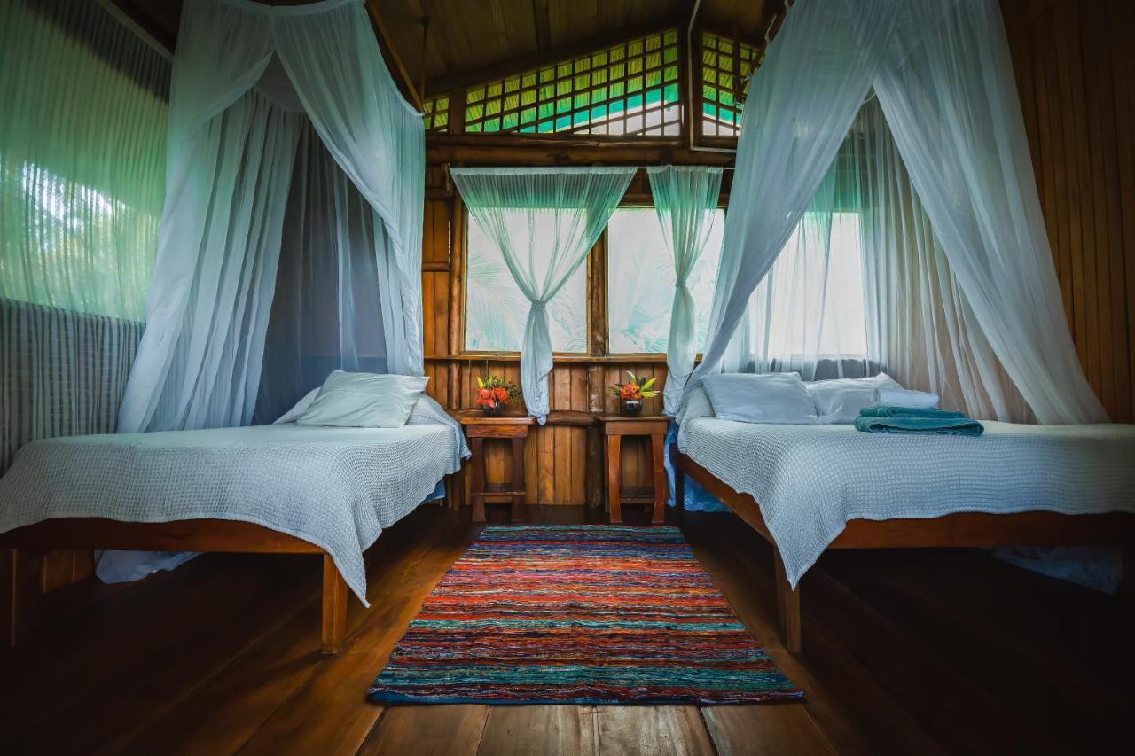 Ocean Forest Ecolodge San Pedrillo Exteriér fotografie