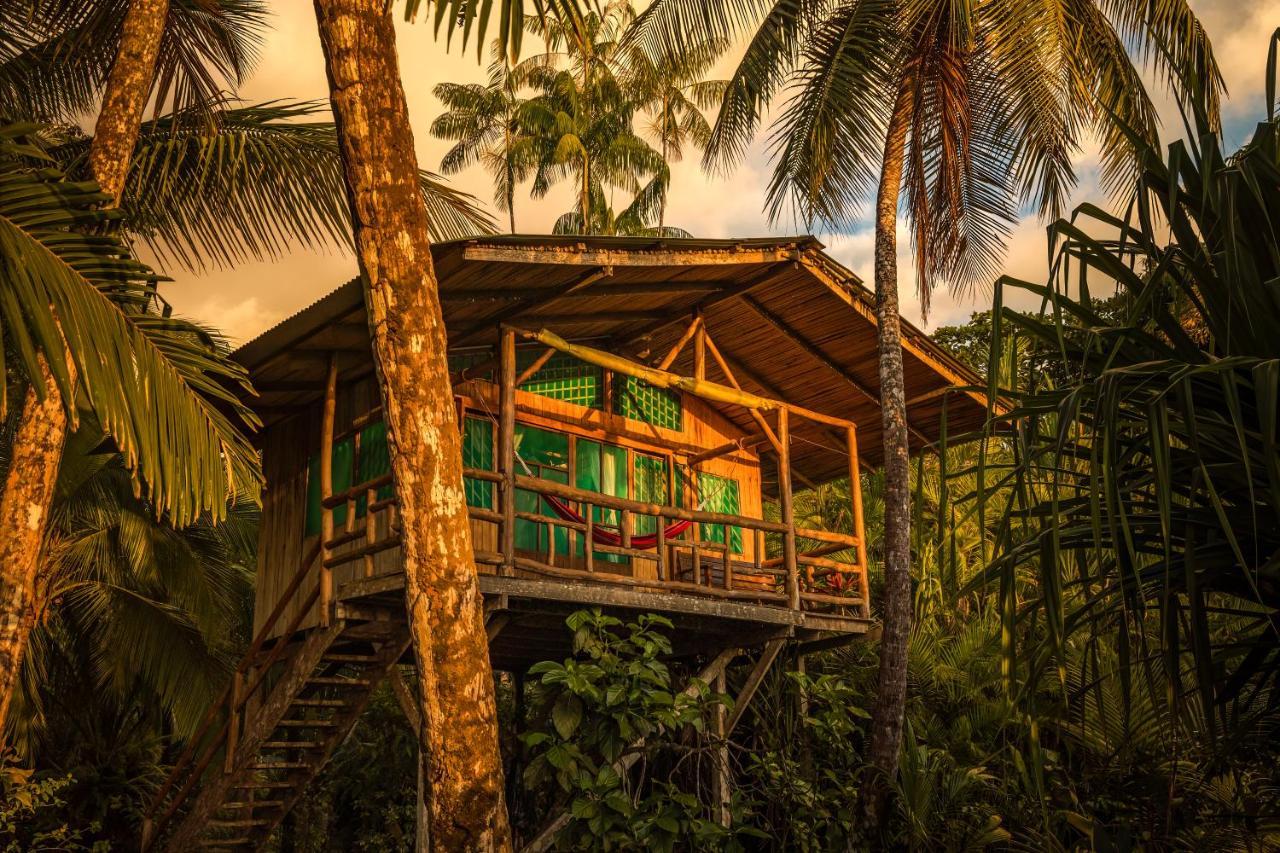 Ocean Forest Ecolodge San Pedrillo Exteriér fotografie