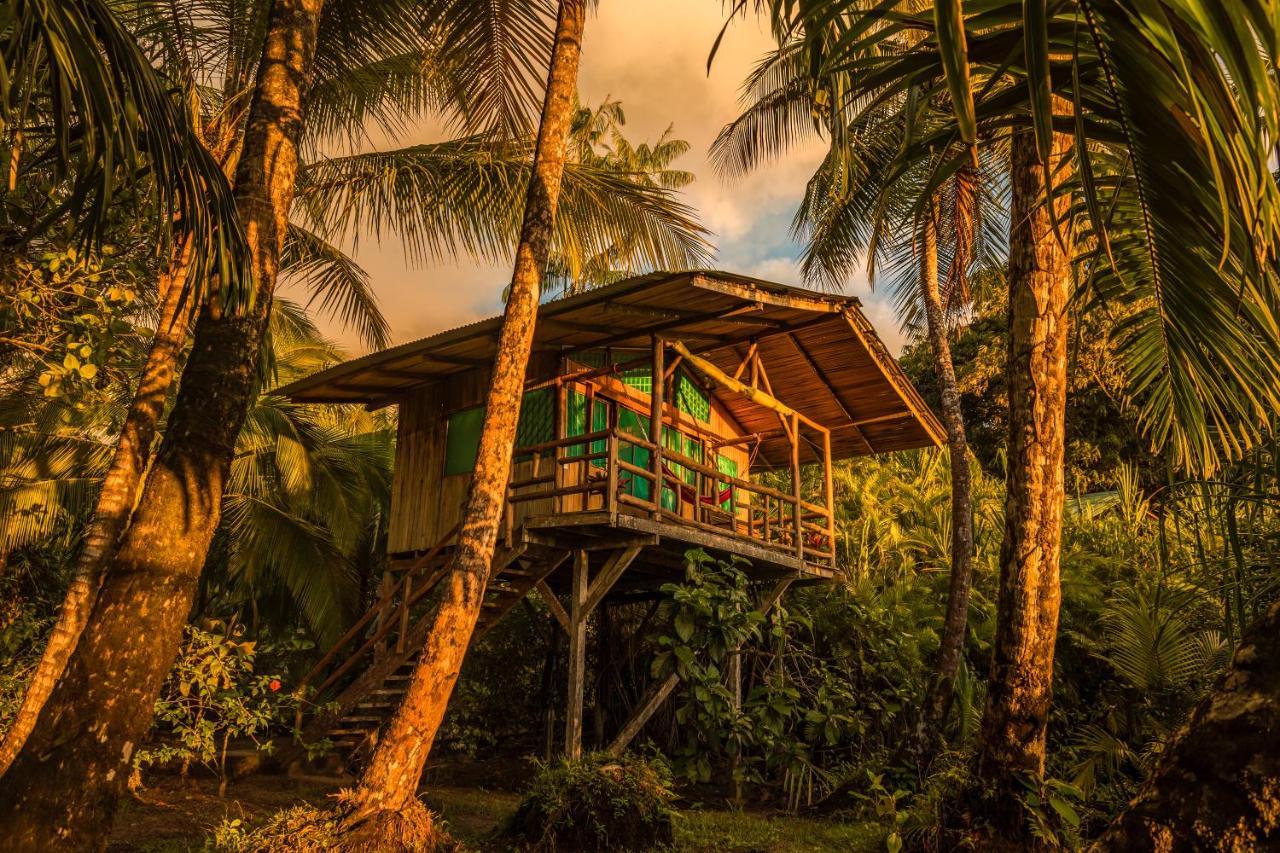 Ocean Forest Ecolodge San Pedrillo Exteriér fotografie