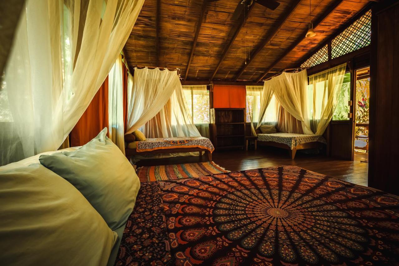 Ocean Forest Ecolodge San Pedrillo Exteriér fotografie