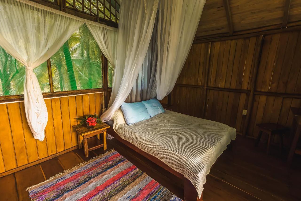Ocean Forest Ecolodge San Pedrillo Exteriér fotografie
