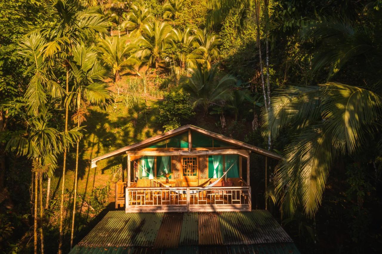 Ocean Forest Ecolodge San Pedrillo Exteriér fotografie