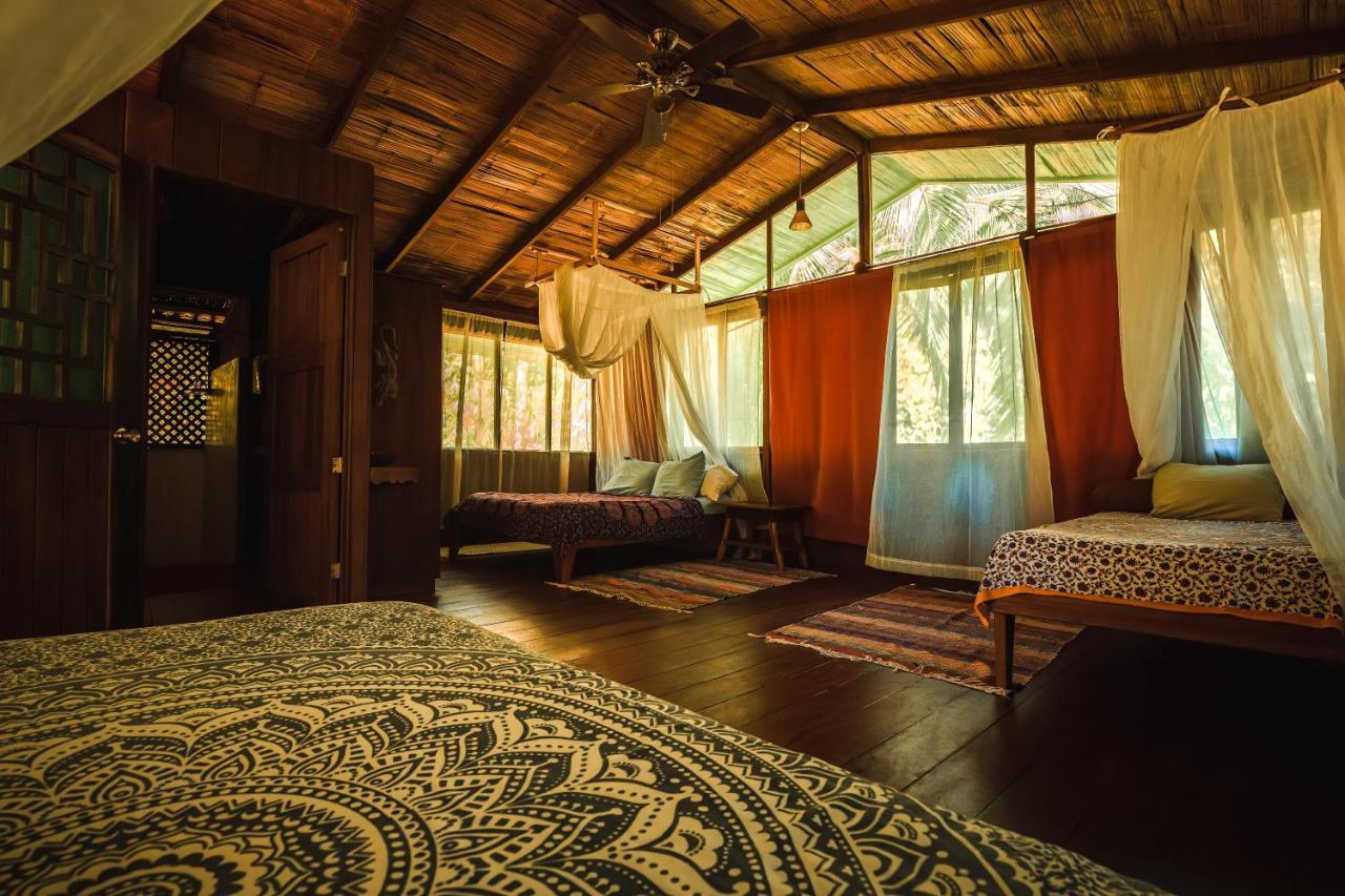 Ocean Forest Ecolodge San Pedrillo Exteriér fotografie