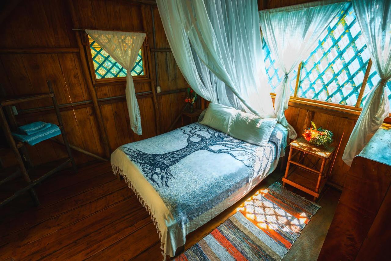 Ocean Forest Ecolodge San Pedrillo Exteriér fotografie