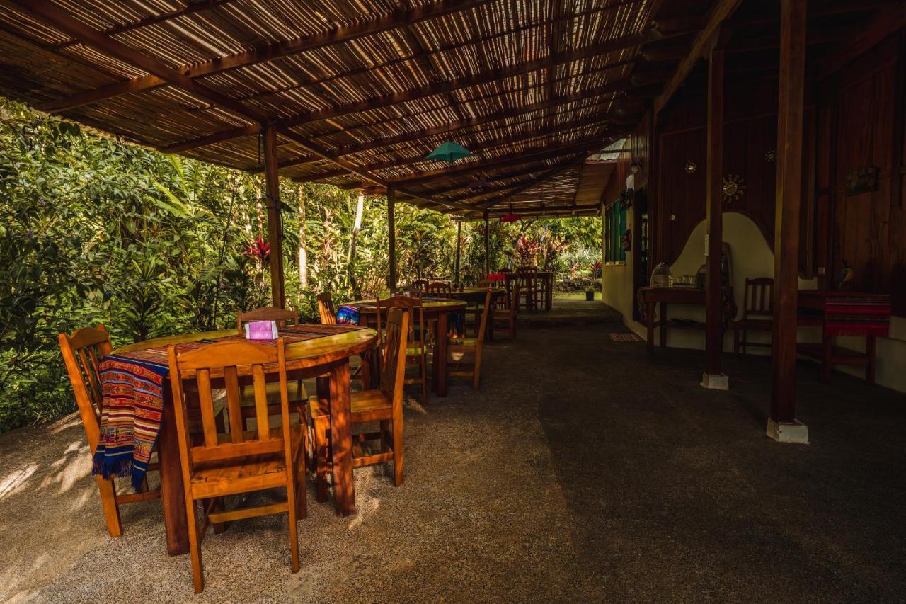 Ocean Forest Ecolodge San Pedrillo Exteriér fotografie
