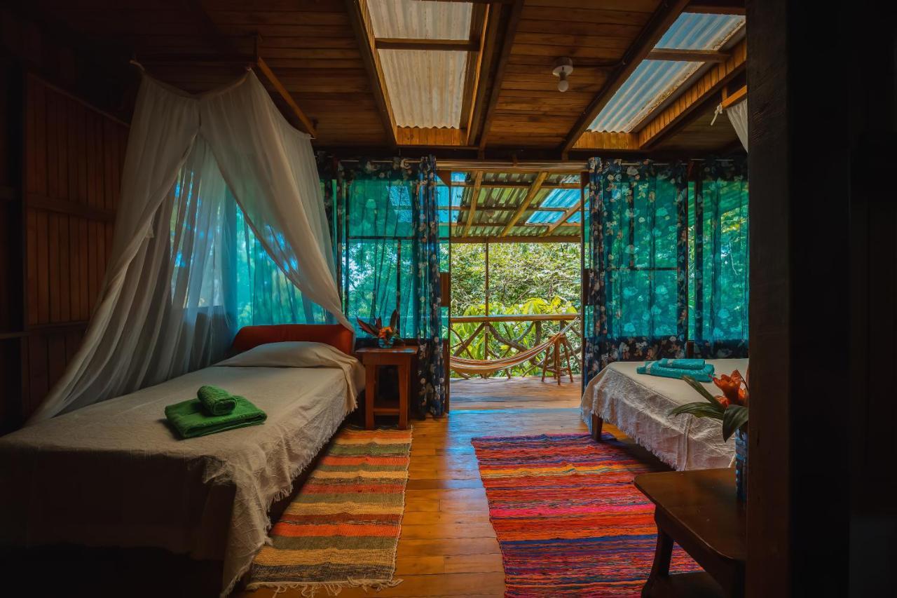 Ocean Forest Ecolodge San Pedrillo Exteriér fotografie