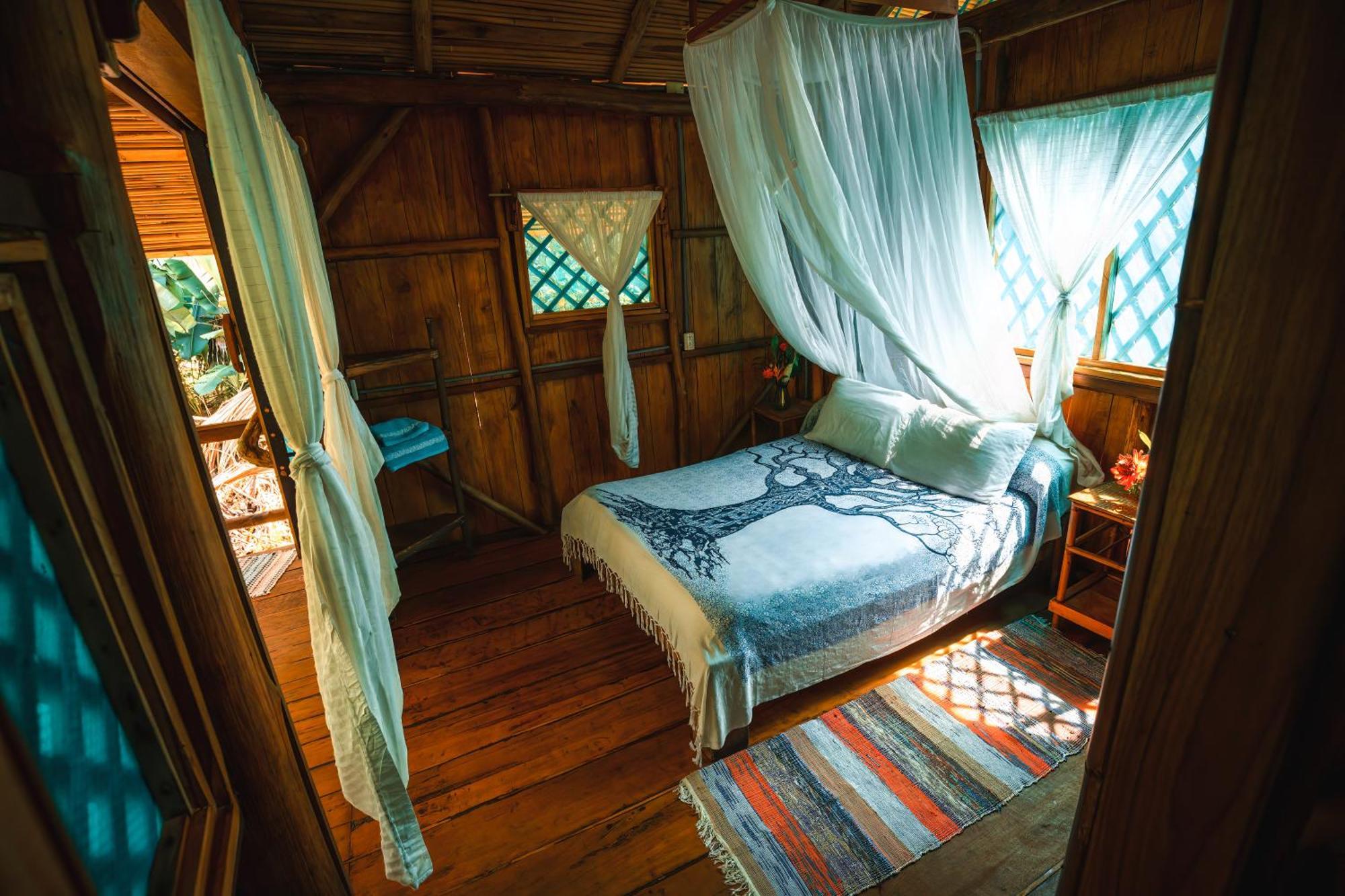 Ocean Forest Ecolodge San Pedrillo Exteriér fotografie