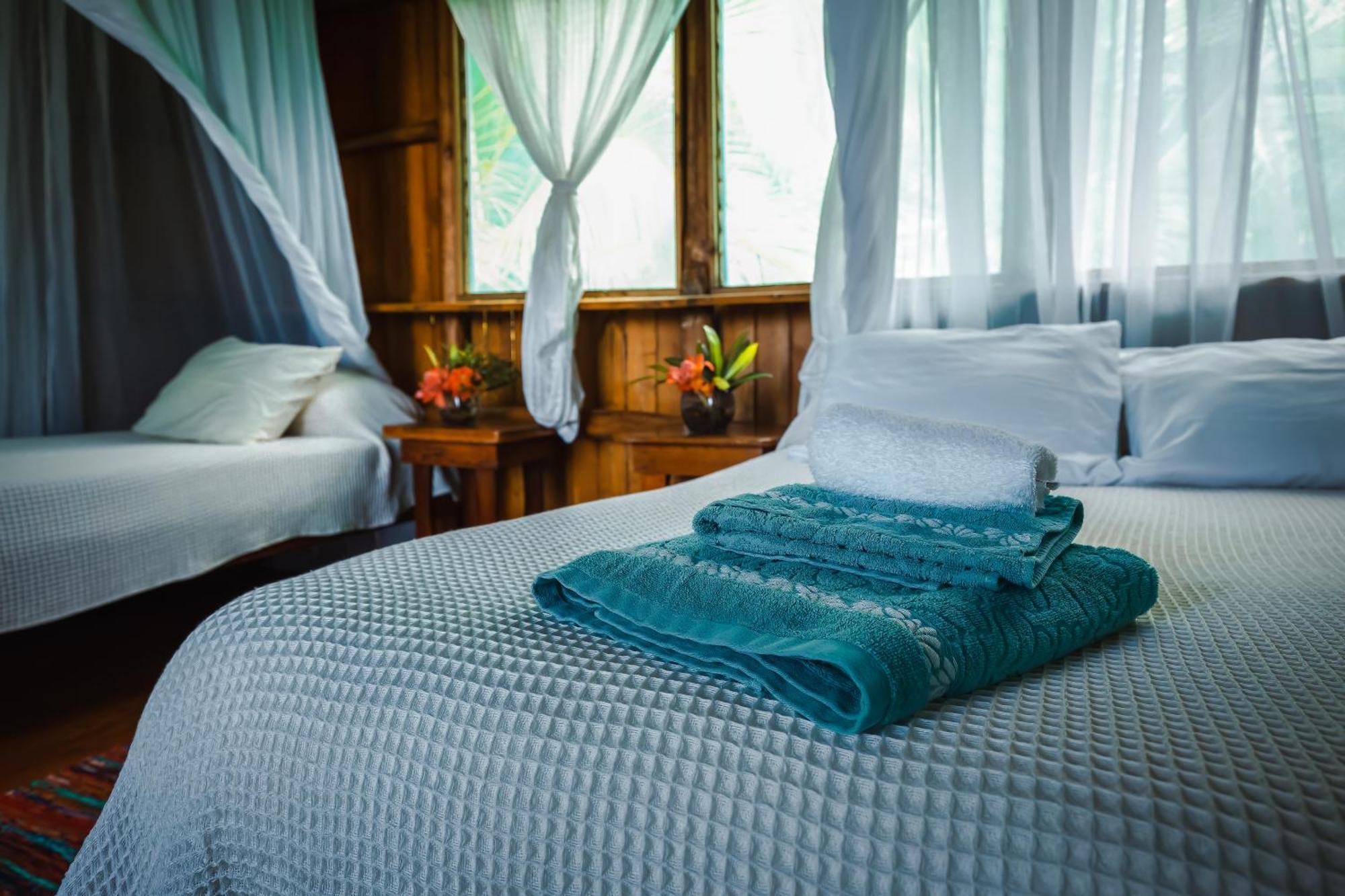 Ocean Forest Ecolodge San Pedrillo Exteriér fotografie