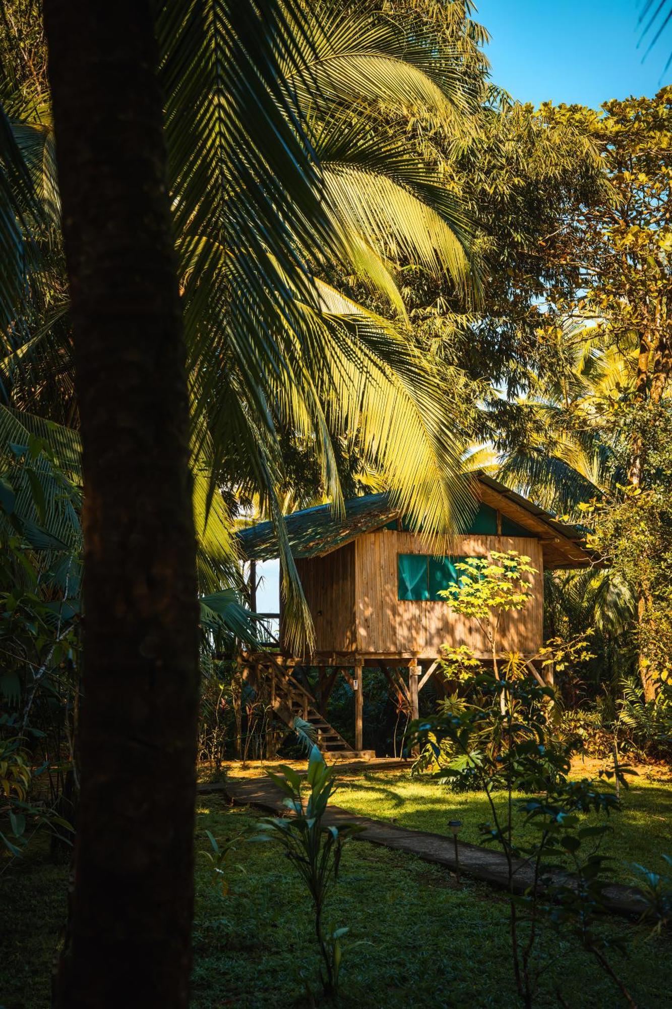 Ocean Forest Ecolodge San Pedrillo Exteriér fotografie