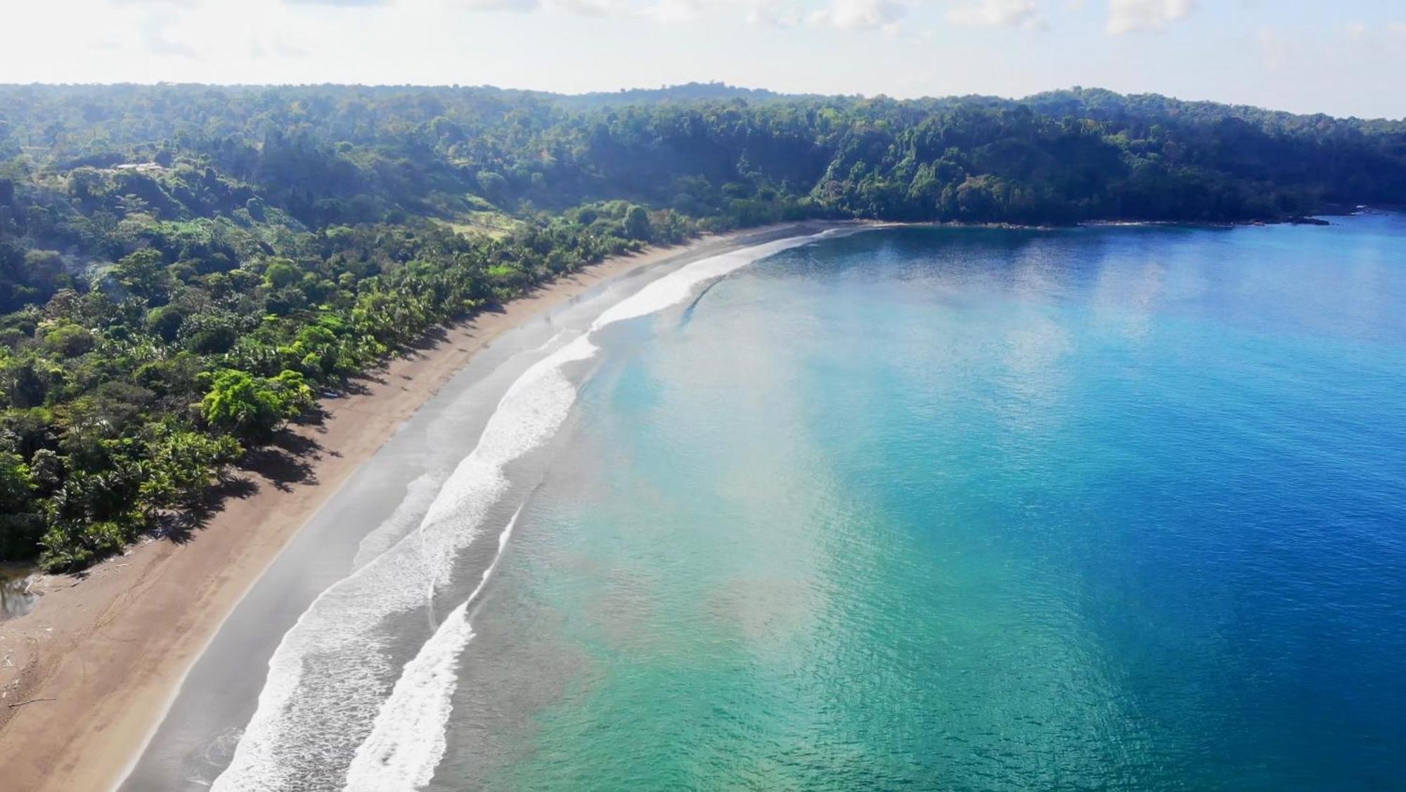 Ocean Forest Ecolodge San Pedrillo Exteriér fotografie