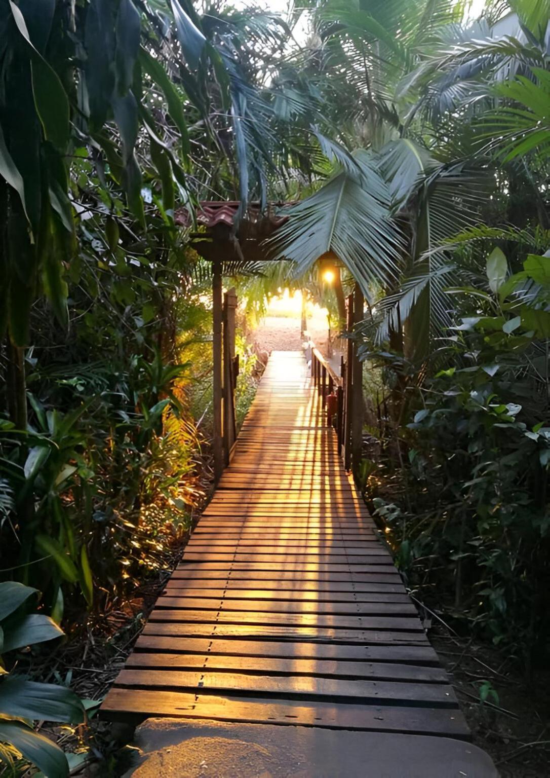 Ocean Forest Ecolodge San Pedrillo Exteriér fotografie