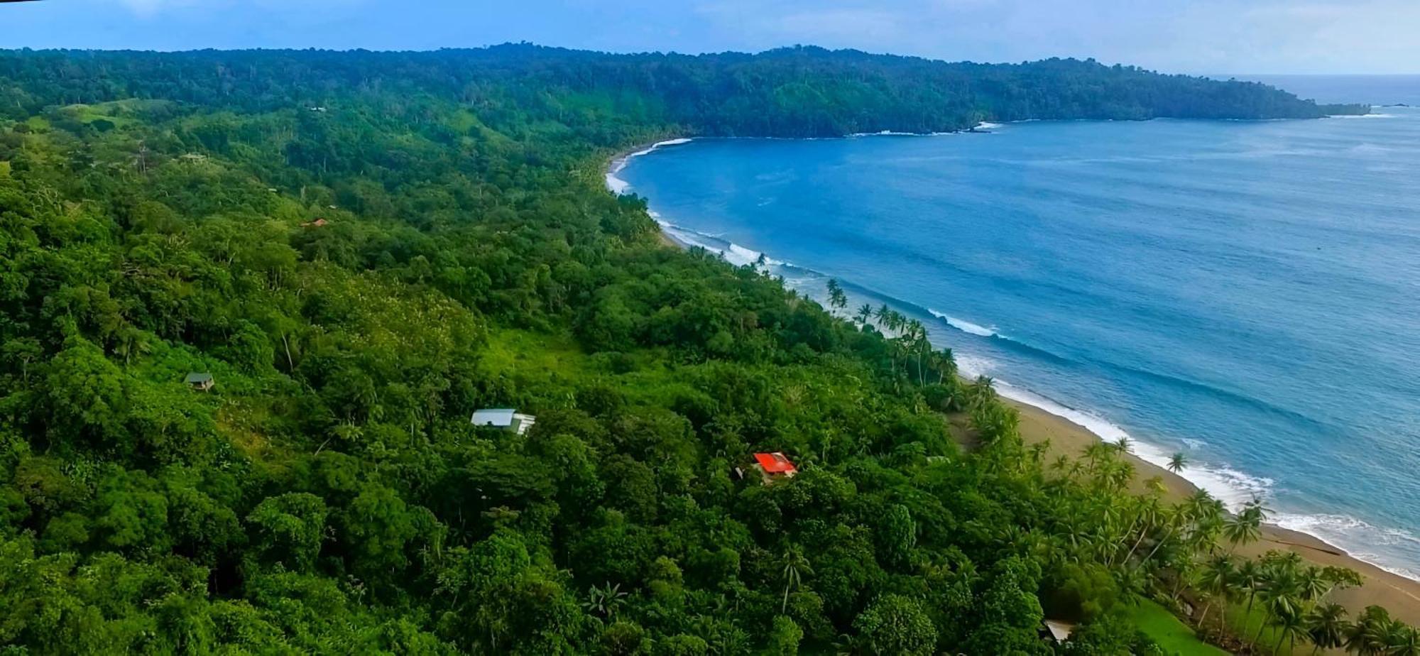 Ocean Forest Ecolodge San Pedrillo Exteriér fotografie