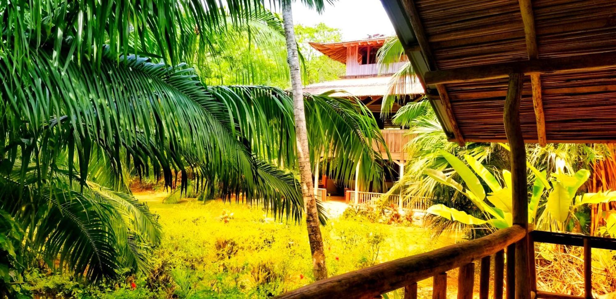 Ocean Forest Ecolodge San Pedrillo Exteriér fotografie