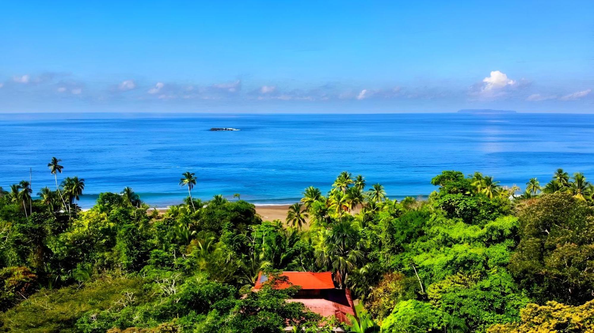Ocean Forest Ecolodge San Pedrillo Exteriér fotografie