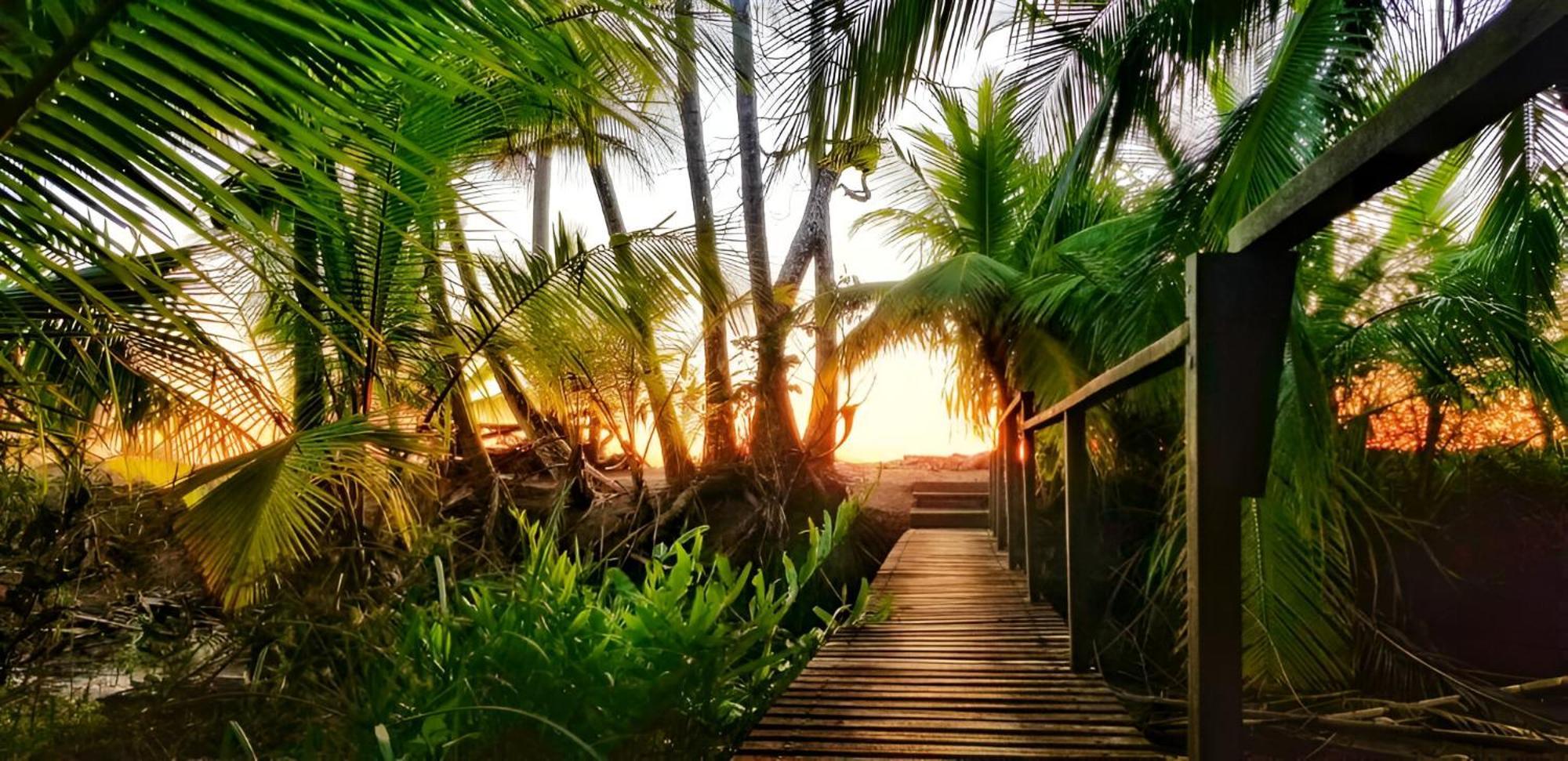 Ocean Forest Ecolodge San Pedrillo Exteriér fotografie