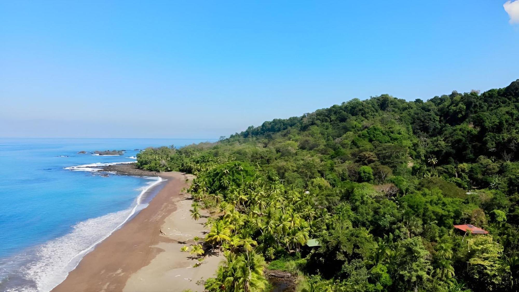 Ocean Forest Ecolodge San Pedrillo Exteriér fotografie