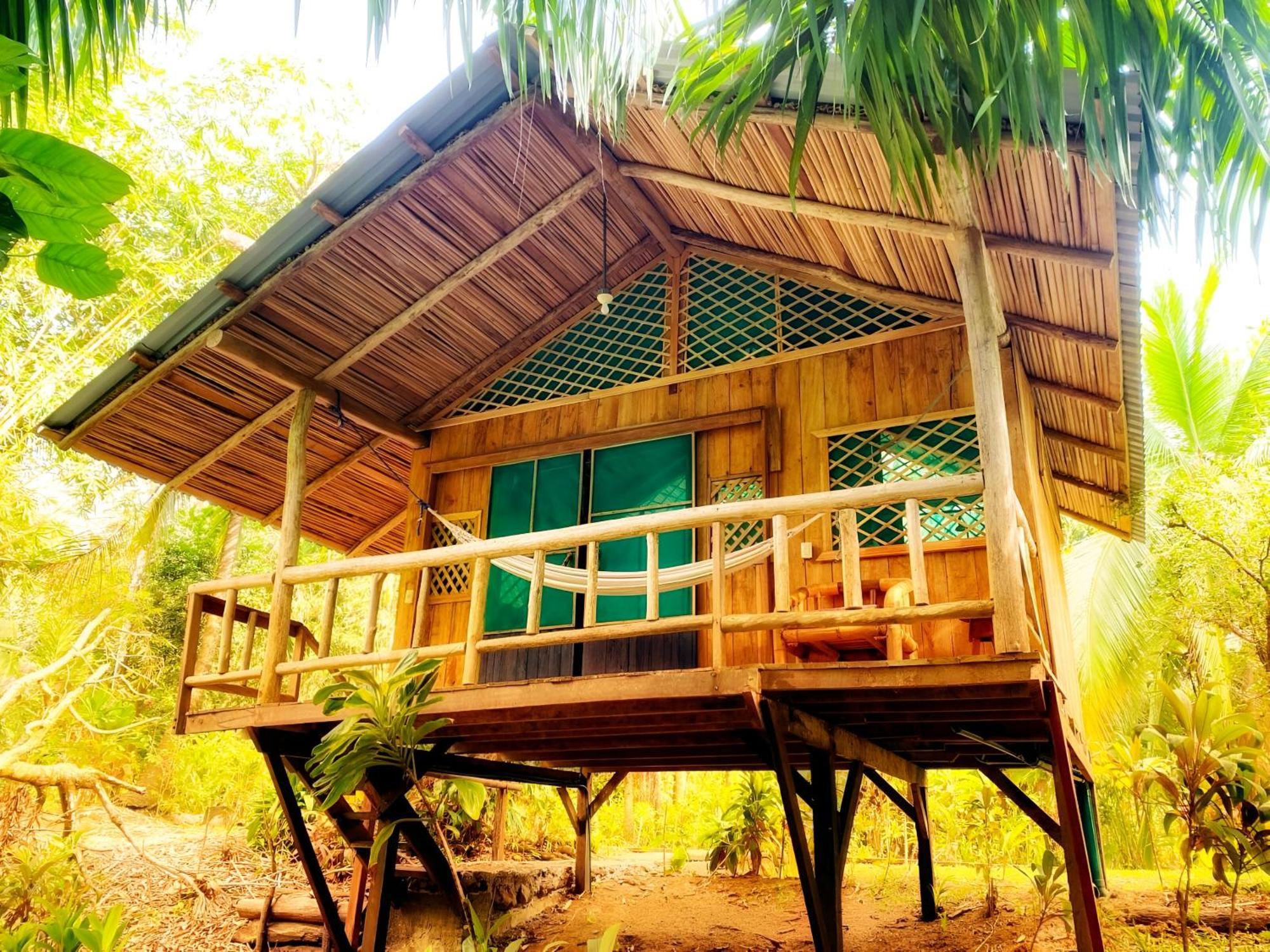 Ocean Forest Ecolodge San Pedrillo Exteriér fotografie
